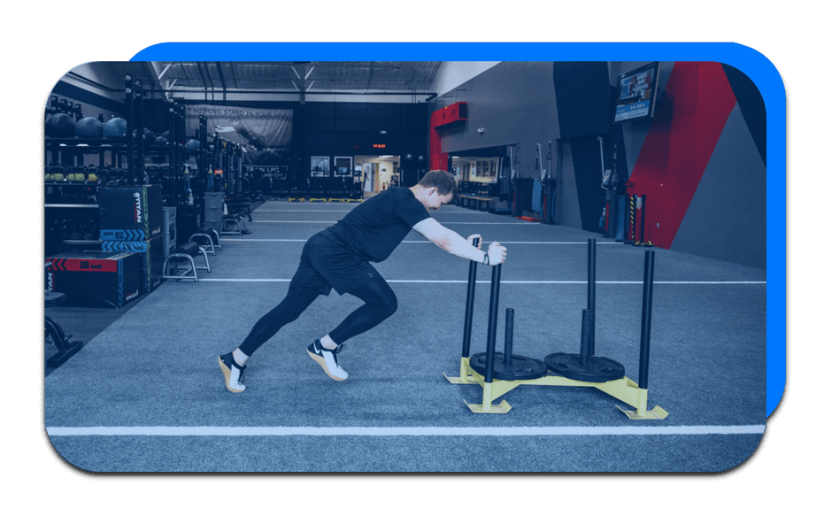 Apex Training Program Apex Training Program graphics